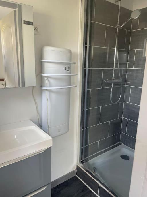 Charmant Appartement Avec Parking Privee Buxerolles المظهر الخارجي الصورة